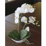 Orchidée Phalaenopsis décorative ZARMINAH dans un coupe en céramique, blanc, 35cm