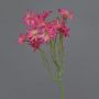 Fleur en tissu Aster maritime NAMINA, fuchsia, 45cm