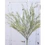 Carex artificiel RUSTY, panicules, vert-gris, 45cm