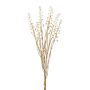 Botte de phytolacca artificielle VILMO, baies, aspect sec, beige, 50cm