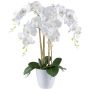 Fleur décorative Orchidée Phalaenopsis BLENTOR dans un cache-pot en mélamine, racines, blanc, 60cm