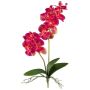 Fleur décorative Orchidée Phalaenopsis KRUZBER, piquet, racines, rose fuchsia, 55cm