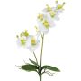 Fleur décorative Orchidée Phalaenopsis KRUZBER, piquet, racines, blanc-vert, 55cm