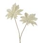 Branche artificielle Aralia JOMLER, crème-gris, 50cm