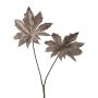 Branche artificielle Aralia JOMLER, anthracite, 50cm