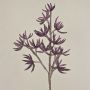 Fausse branche de Sedum MOMOKA, violet foncé, 110cm