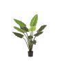 Calathea rufibarba artificiel NUSAKAN, vert, 120cm