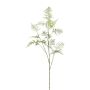 Branche artificielle Asparagus Plumosus PLAVIN, vert, 130cm