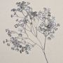 Gypsophile artificiel MARLIESE, argenté, 65cm, Ø1-1,5cm