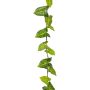 Guirlande artificielle de syngonium OSSIAN, vert, 185cm