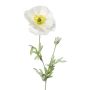 Fleur artificielle Coquelicot DRUME, blanc, 60cm