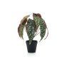 Bégonia Tamaya artificiel ELISEIA, vert-blanc, 30cm