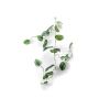 Guirlande de pothos tacheté artificielle OBASI, vert-blanc, 120cm