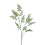 Branche d'asparagus plumosus artificielle FAYNA, 135cm