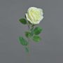 Fleur artificielle Rose PEZOS, crème, 60cm