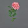 Fleur artificielle Rose PEZOS, rose fuchsia, 60cm