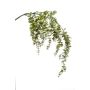 Branche d'eucalyptus artificielle PINORO, vert, 120cm