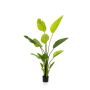 Strelitzia artificiel BEDAR, vert, 150cm