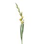 Glaïeul artificiel AJNUR, jaune, 125cm