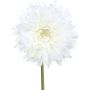 Fleur artificielle Gerbera MOLZA, blanc, 60cm