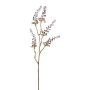Branche décorative Phytolacca BLORNE, baies, rouge bourgogne, 60cm