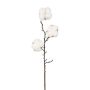 Branche décorative de coton SKLAVAN avec des fruits, blanc, 45cm