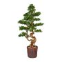 Arbre décoratif Bonsaï mélèze WOME en pot en magnésia, 125cm
