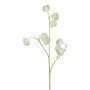 Branche artificielle de clématite VITRAL, vert-blanc, 55cm