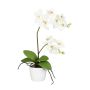 Fleur décorative Orchidée Phalaenopsis MORLEK, pot en céramique, racines, crème, 60cm