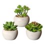 Arrangement de plantes succulentes artificielles PLOKSA dans un pot en ciment, 3 pièces, vert, 6,5-8cm