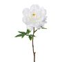 Fleur artificielle Pivoine GLOUT, blanc, 65cm