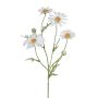 Branche décorative Marguerite CLUVE, blanc, 60cm