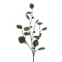 Branche artificielle d'eucalyptus TRAVON avec des fruits, vert, 75cm