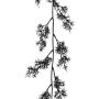 Guirlande artificielle Asparagus sprengeri NAFTY, noir, 175cm