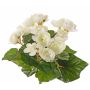 Bégonia artificiel BIRMA sur piquet, crème, 20cm, Ø3-5cm