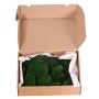 Véritables plaques de mousse DIMITRA, vert, 800g, 0,15 m²