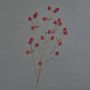 Branche de chardon artificielle (Eryngium) LOUKAS, rouge, 70cm, Ø1,5cm