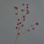 Branche de chardon artificielle (Eryngium) LOUKAS, bordeaux, 70cm, Ø1,5cm