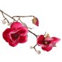 Magnolia en tissu KOSTAS, rose fuchsia, 55cm, Ø5-8cm