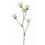 Œillet du Japon artificiel KASTALIA, crème, 65cm, Ø4-5cm