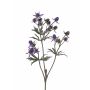 Chardon artificiel (Eryngium) KALYPSO, violet foncé, 65cm