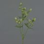 Chardon artificiel (Eryngium) KALYPSO, vert, 65cm