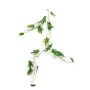 Guirlande décorative Philodendron Selloum MATAS, 110cm