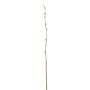 Branche de saule décorative DAFINO avec fleurs, blanc, 105cm