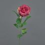 Fleur artificielle Rose PEZOS, rouge bourgogne, 60cm, Ø10cm