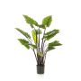 Fausse plante oreille d'éléphant KANAYE, vert, 130cm