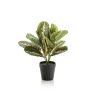 Plante artificielle Maranta SITULA, vert-rouge, 30cm