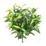 Chlorophytum artificiel ANKAA sur piquet, vert, 40cm