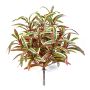 Chlorophytum artificiel ANKAA sur piquet, vert-rouge, 40cm
