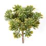 Crossostephium artificiel KARAHNI sur piquet, vert-orange, 20cm